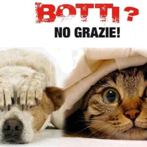 Botti di Capodanno vietati in mezza Italia a difesa degli animali no ai botti