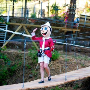 I giardini più belli: Parco di Pinocchio ago pino