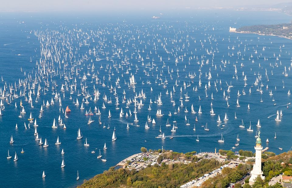 barcolana