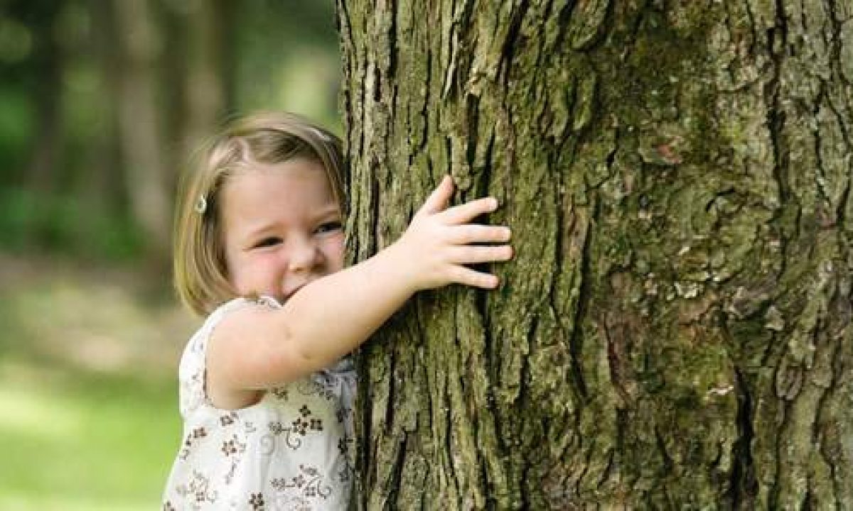 È scientificamente provato che il contatto con gli alberi produca effetti benefici per il corpo e la mente