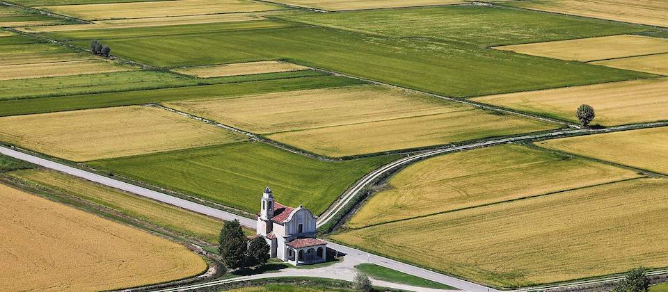 Piemonte Capitale Mondiale del Food: il Riso di Vercelli