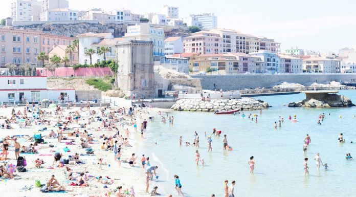 78772 VITA023 VItali Plage des Catalans Green Turtle 2017 D 0026 1200x900 696x385 1