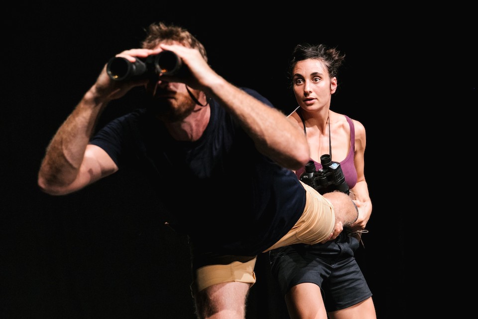 lonato festival