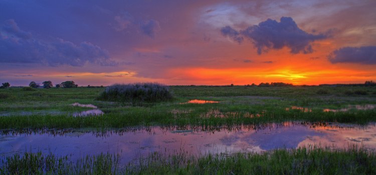 everglades national park