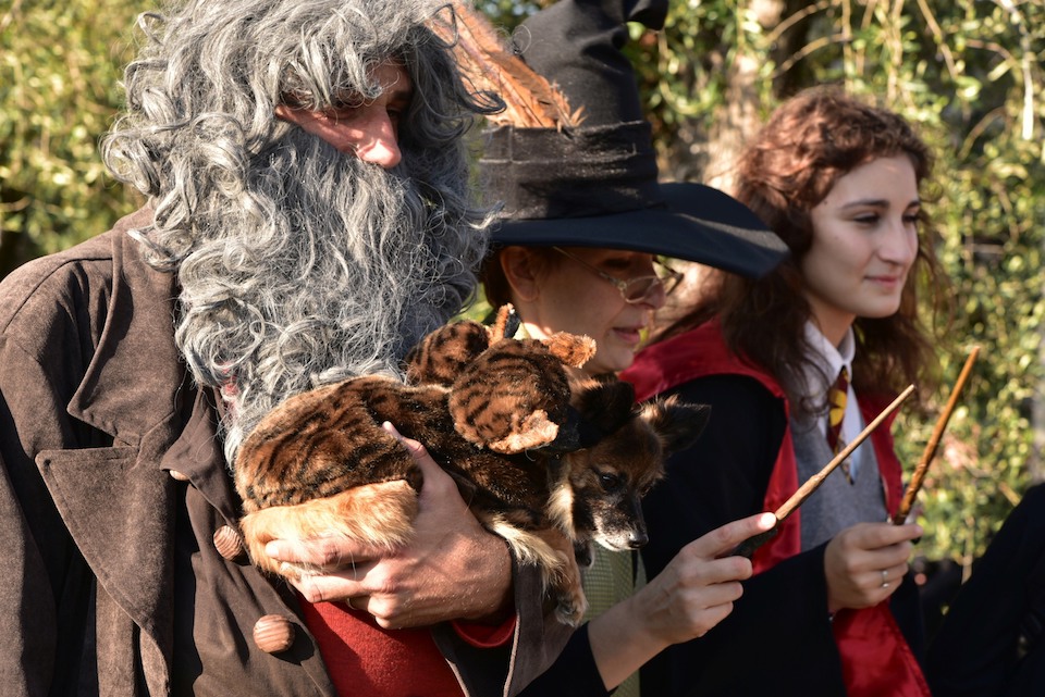 Una Giornata Fantastica al villaggio di Harry Potter