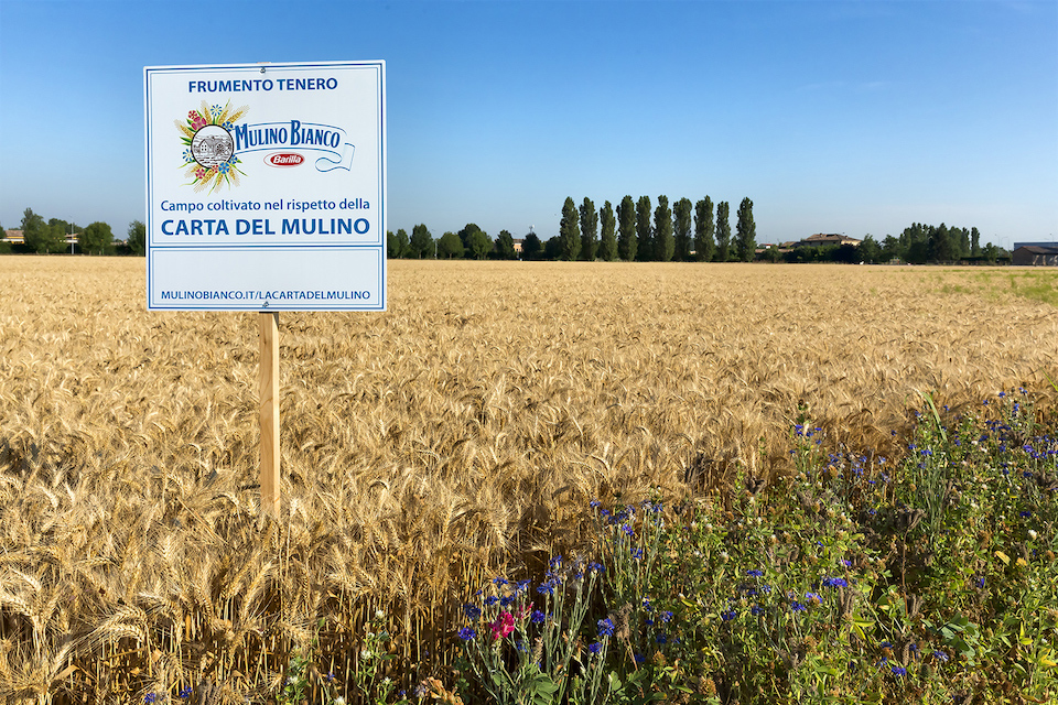 21 novembre Giornata nazionale degli alberi: nasce l’Agribosco Barilla