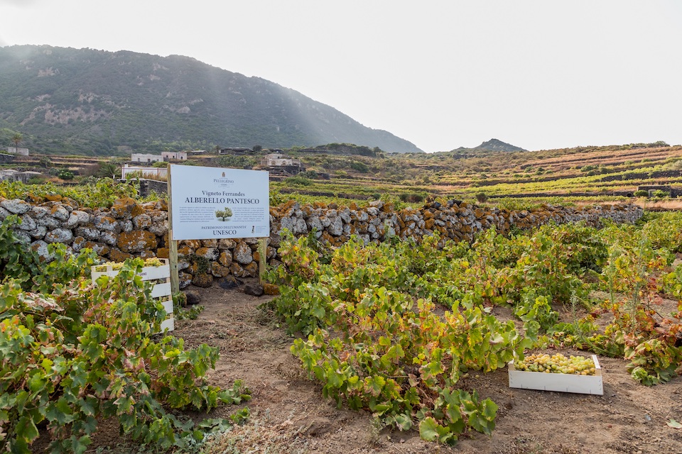 A Pantelleria si inaugura il più grande impianto fotovoltaico privato di tutta l’isola