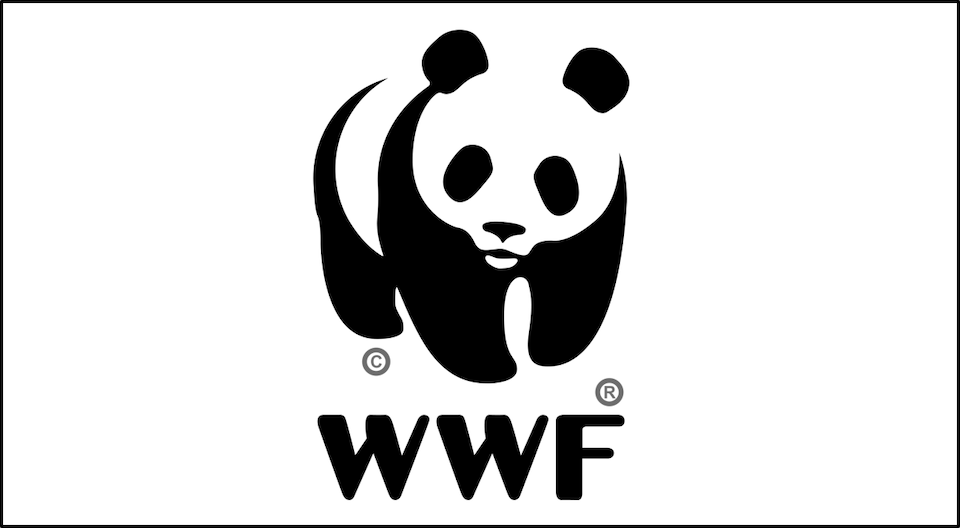 2021: il bilancio del WWF