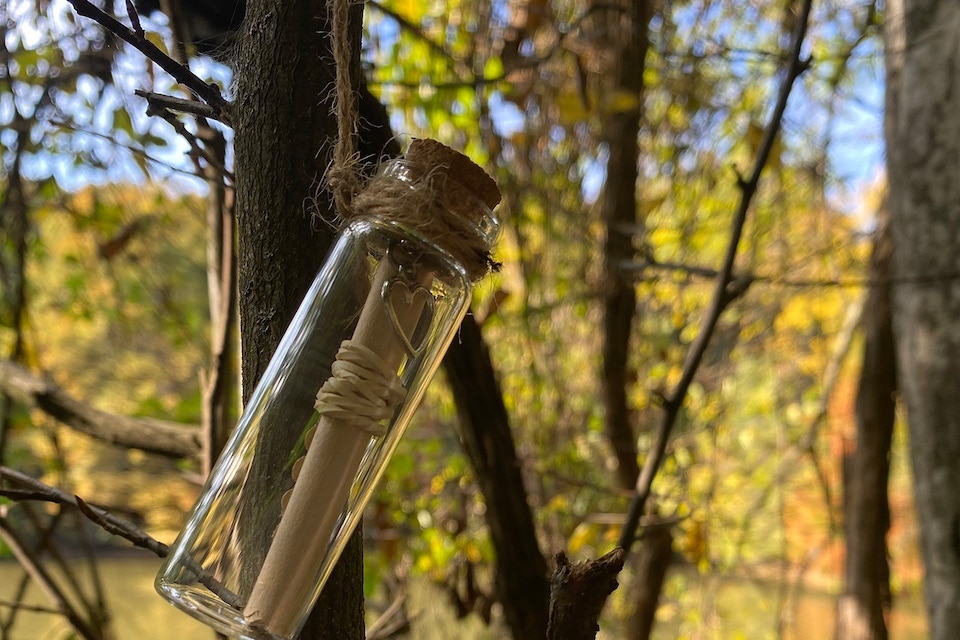alberi parlanti