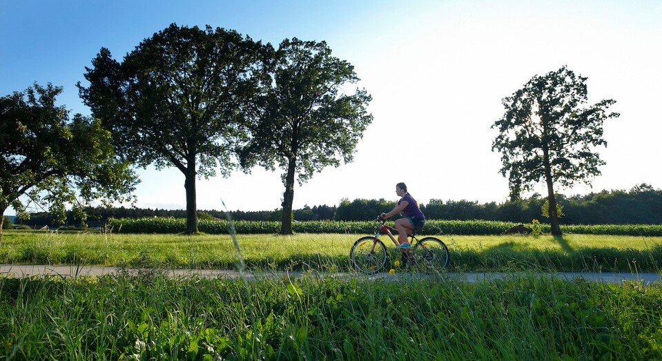 Green Gourmet Route: in bicicletta “con gusto”