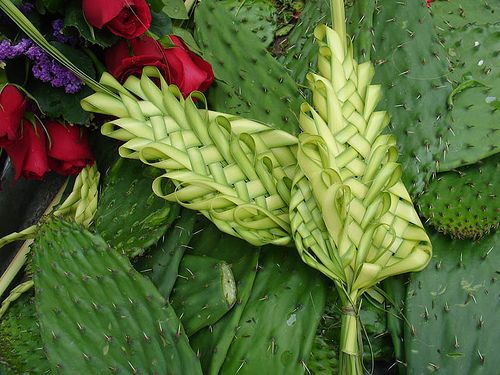 palme intrecciate calice