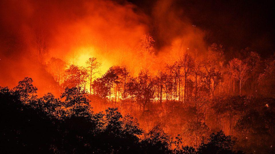 incendio bosco