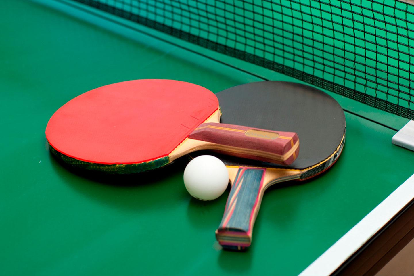 ilpingpong 4508506