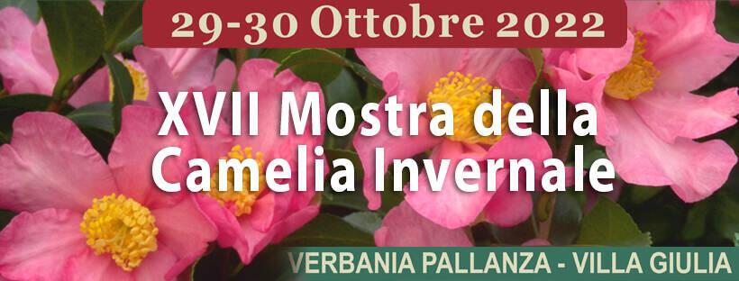 mostra camelia 2022 reference