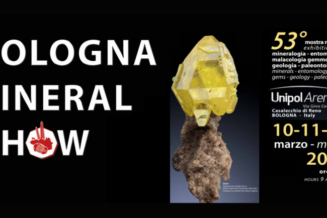 Bologna Mineral Show 2023