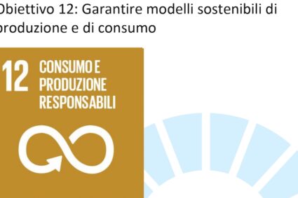 Agenda 2030: Punto 12 – Consumo e produzioni responsabili