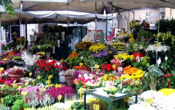 campo dei fiori 592x444 1