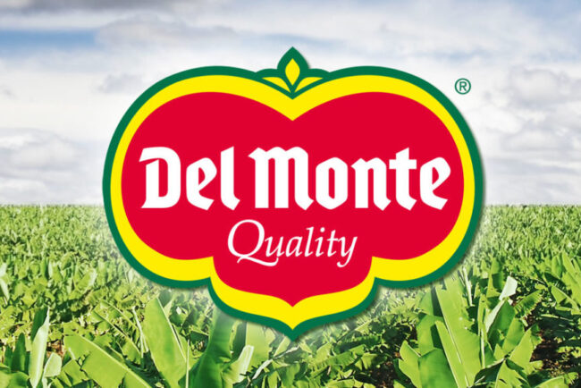 Del Monte logo feat 1024x576 1
