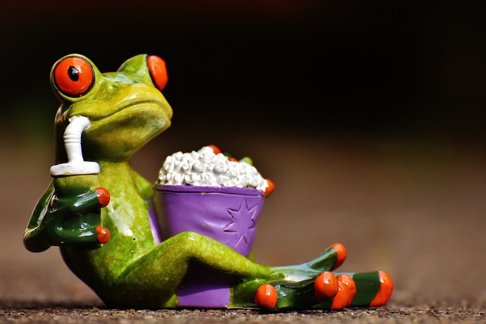 I migliori film da vedere al cinema a settembre 2023 rana cinema