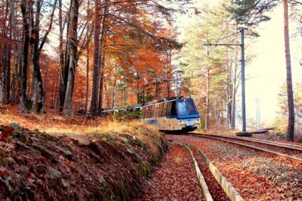 Autunno 2023 con il Treno del Foliage tra Italia e Svizzera