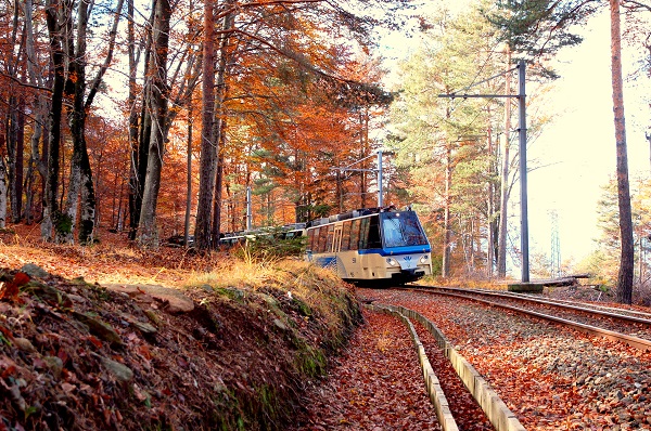 Ferrovia Vigezzina Centovalli Autumn 5