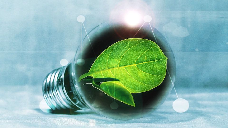 Risparmio energetico in ufficio: come i regolatori di flusso ottimizzano l’uso dell’aria compressa Risparmio energetico