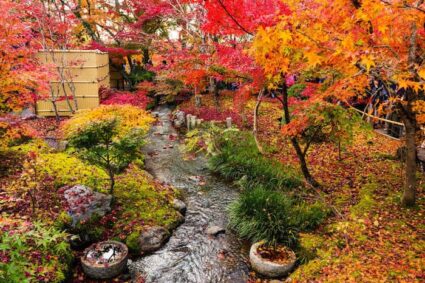 L’autunno in Giappone