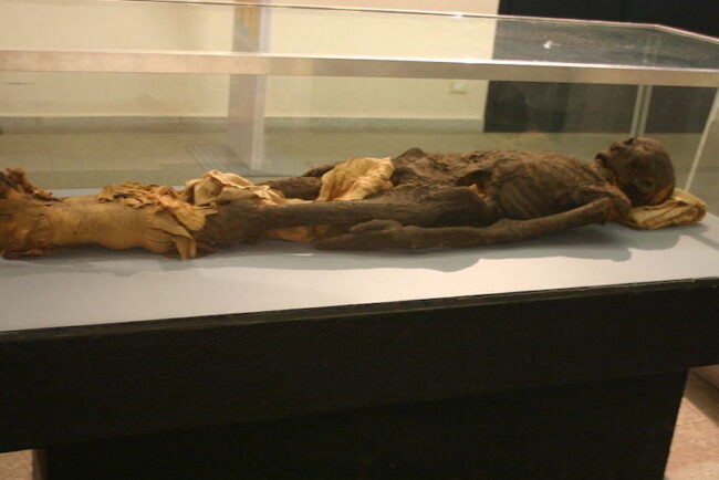 mummia