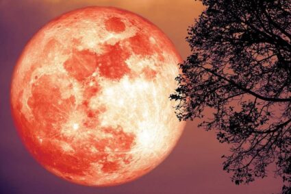 La Luna Piena dello Storione, nel segno delle stelle cadenti