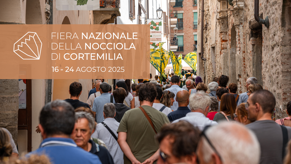 490571671 1258999026226588 7084842446306728291 n